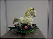 www.floristic.ru - .   ....