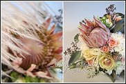 www.floristic.ru - .  .