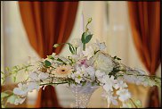 www.floristic.ru - .  .