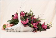 www.floristic.ru - .  