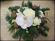 www.floristic.ru - .       ...