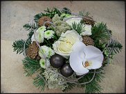 www.floristic.ru - .       ...