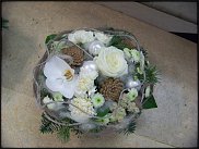 www.floristic.ru - .       ...