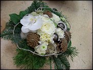 www.floristic.ru - .       ...