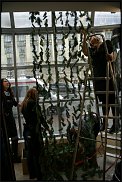 www.floristic.ru - .  Mila Schumann.  . 