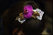 www.floristic.ru - .    