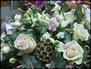 www.floristic.ru - . ,  .