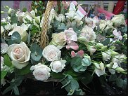 www.floristic.ru - . ,  .