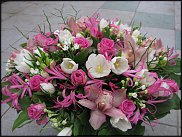 www.floristic.ru - .    ...   - ?