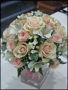 www.floristic.ru - .    ...   - ?