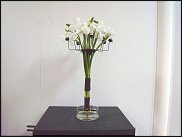 www.floristic.ru - . WEB      " WEB format"