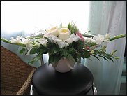 www.floristic.ru - .  