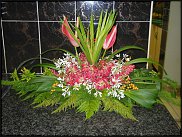 www.floristic.ru - .   - :)