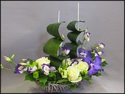 www.floristic.ru - .  .  .     23- 