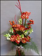 www.floristic.ru - .  