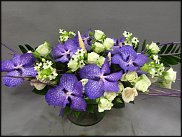 www.floristic.ru - .  