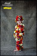 www.floristic.ru - .  