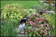 www.floristic.ru - .  