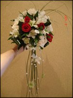 www.floristic.ru - .  .