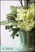 www.floristic.ru - .      .