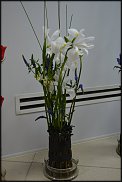 www.floristic.ru - .    