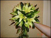 www.floristic.ru - .  .