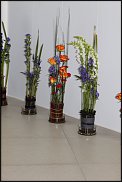 www.floristic.ru - .    