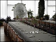 www.floristic.ru - .  .