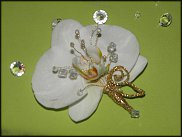 www.floristic.ru - Флористика. Свадебная флористика.