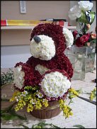 www.floristic.ru - .  .