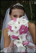 www.floristic.ru - Флористика. Разбор полётов