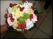 www.floristic.ru - .  .