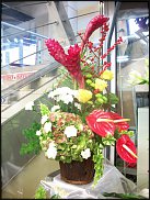 www.floristic.ru - . ,  .