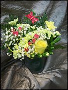 www.floristic.ru - .    !!!