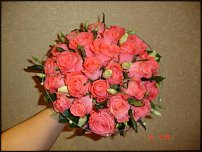 www.floristic.ru - .  .