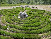 www.floristic.ru - . Land Art