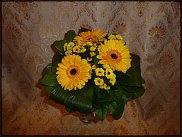 www.floristic.ru - .  .