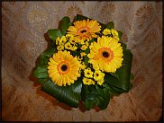 www.floristic.ru - .  .