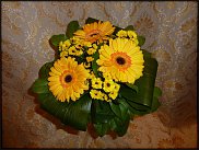 www.floristic.ru - .  .