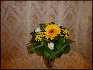 www.floristic.ru - .  .