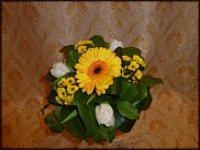 www.floristic.ru - .  .