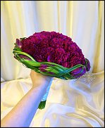 www.floristic.ru - .  .