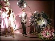 www.floristic.ru - . .      .