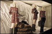 www.floristic.ru - . .      .