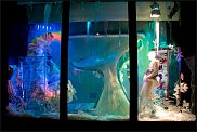 www.floristic.ru - . .      .