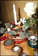 www.floristic.ru - .  