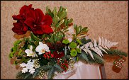 www.floristic.ru - .  