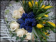 www.floristic.ru - .  