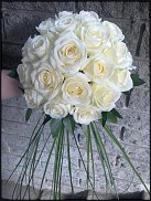 www.floristic.ru - .  .