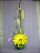 www.floristic.ru - .      .